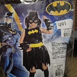 Batgirl Costume