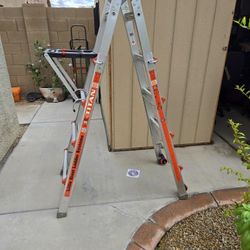 Ladder ( Little Giant)