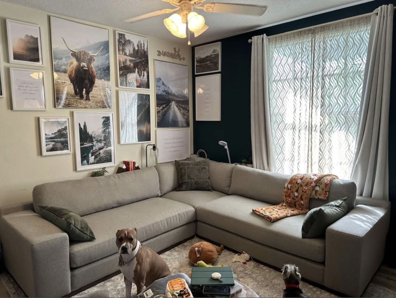L-Shaped Sectional- Great Condition