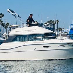 Searay 300 Sedan Bridge Cabin Cruiser Fishing Boat