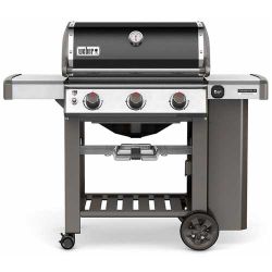 Weber Genesis II E-310