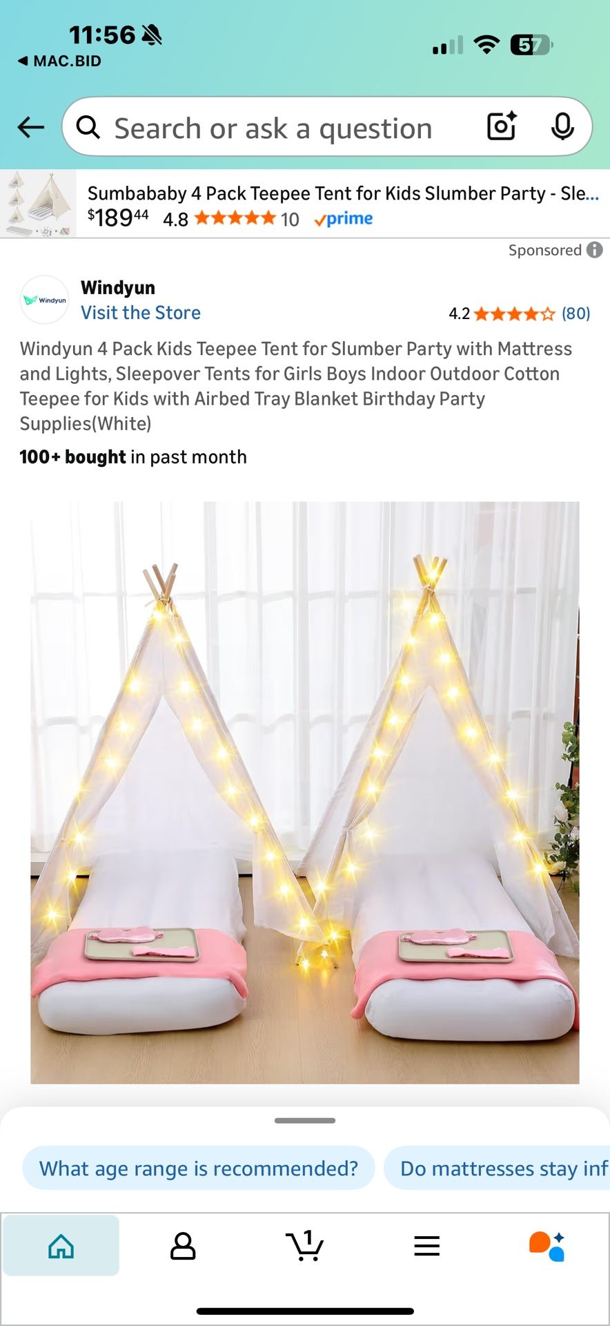 Girls Teepee Tents New!