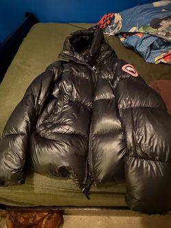 Canada goose Crofton puffer