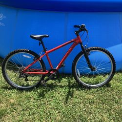Boys 24in 5 Speed Mountain Bike