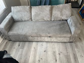 Corduroy Pull out couch