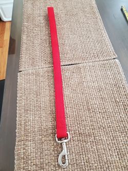 24" Dog Leash