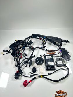2020 Harley Sportster XL1200 Wiring Harness ECM BCM Key Speedometer 5,677 Miles. OBO. SM9KNT0208