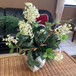 Beautiful Plant  Decoration 