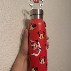 Disneyland Bottle