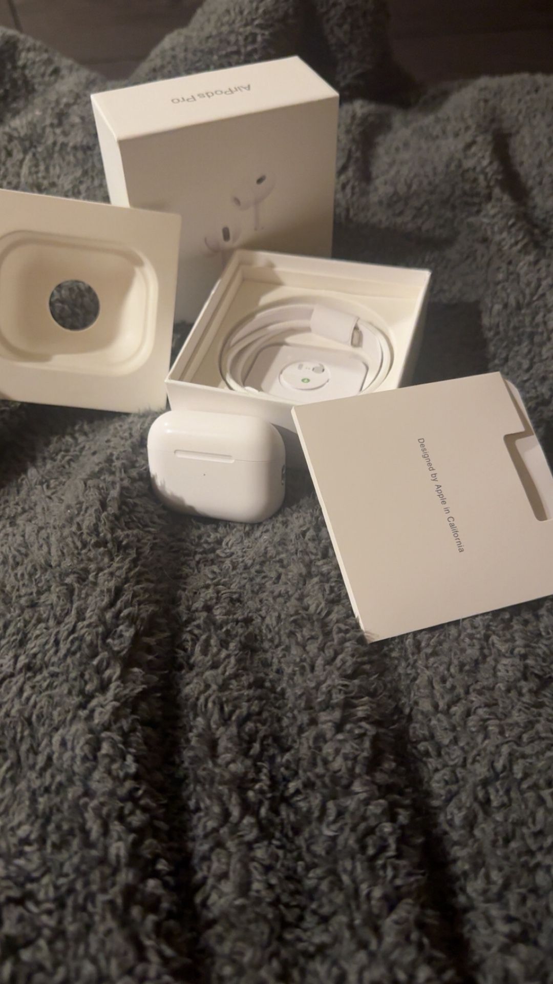 AirPod Pro2 USB C