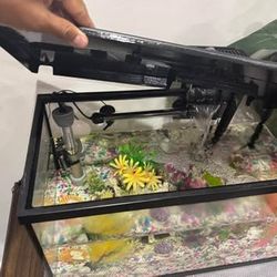 10g Fish tank with accessories and ornaments.