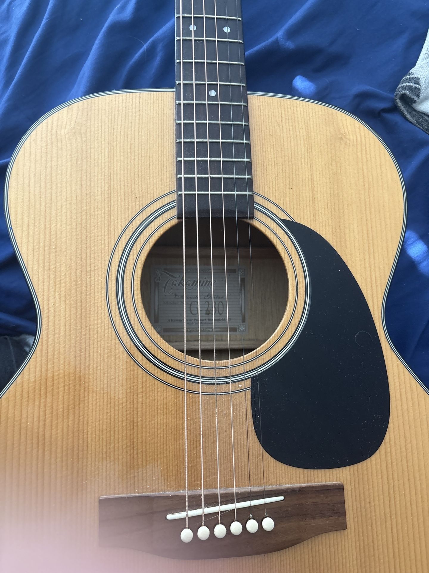 Takamine G250 Acoustic Guitar