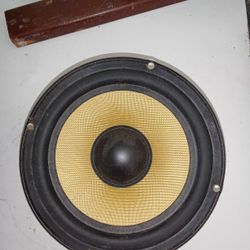6.5" Fiberglass 4Ω Woofer Raw Driver