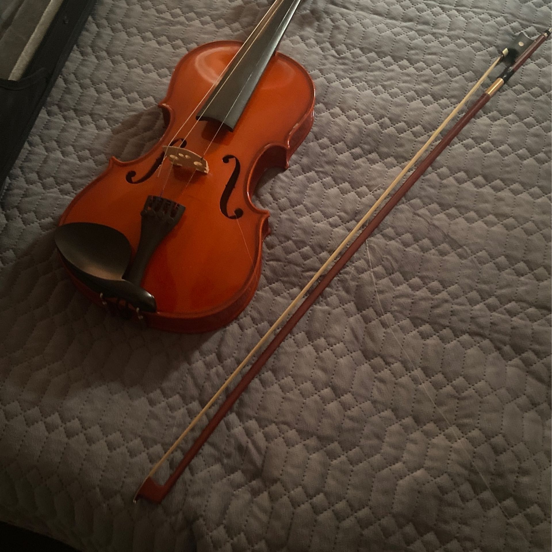 Violin