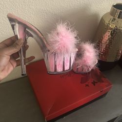 Pleaser Heels Size 8