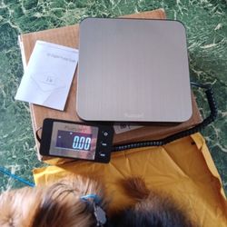 Postal Scale 