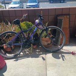 Woman Mountain Bike Small Liv Bliss  $160