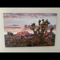 Joshua tree And Spring mountains At Red Rock National Conservation Near Las Vegas, Nevada By Tim Fitzharris