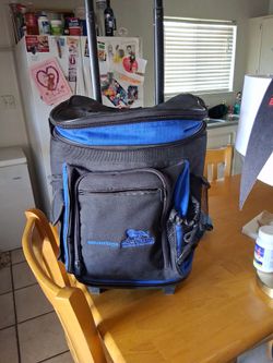 New Travel Cooler