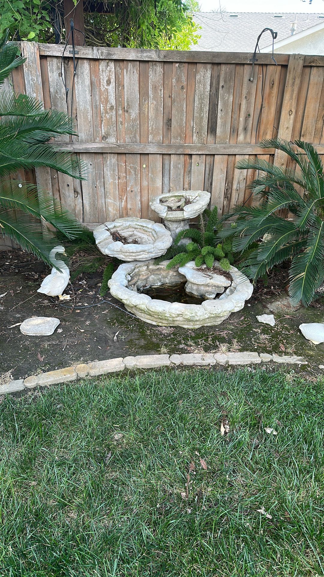 Fountain