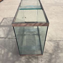 Fish Tank 