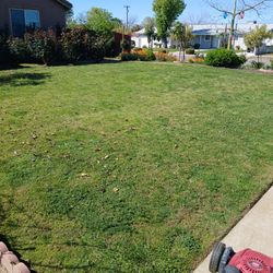 Lawn, Irrigation, Drips 