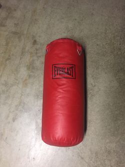 Everlast Punching bag
