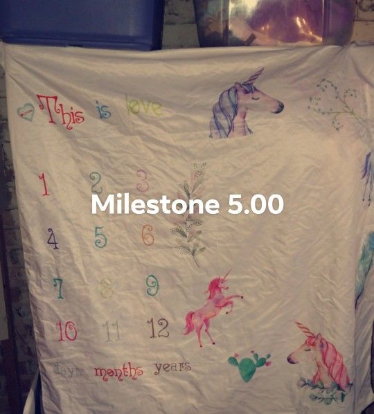 Baby Milestone Blanket