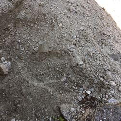 Free Soil