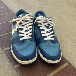 Size 10.5 Nike Dunks (no Box)