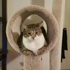 Kitzia Ayala