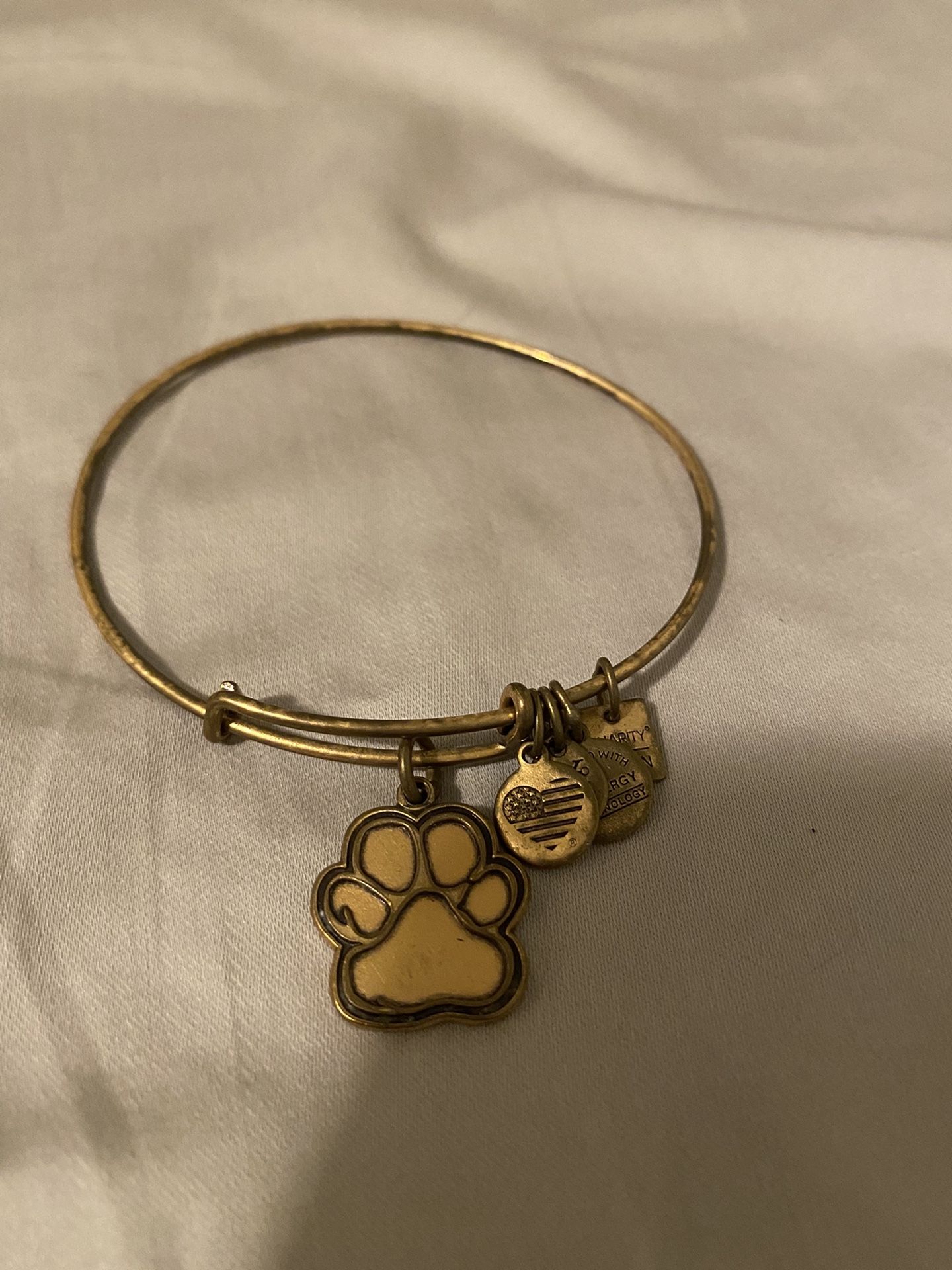 Alex And Ani Charm