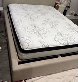 Queen Plush Mattress