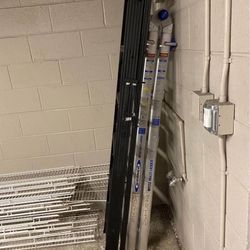 Selling Two Ladders 