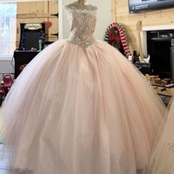 Dress : XXL Pink Gown / New 