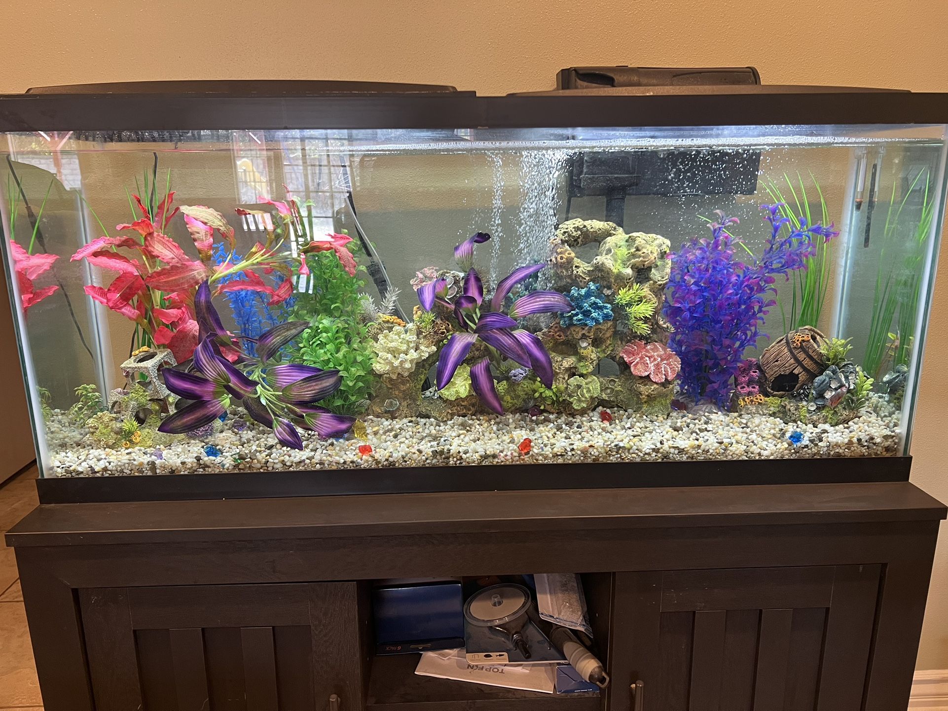 55 Gallon Fish tank, Stand and Fish accessories