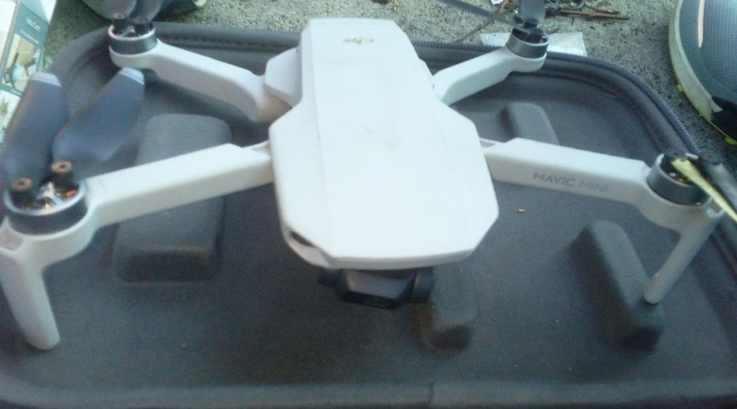 Mavic  Mini DJI 