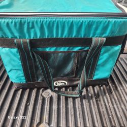 Igloo hot and cold cooler