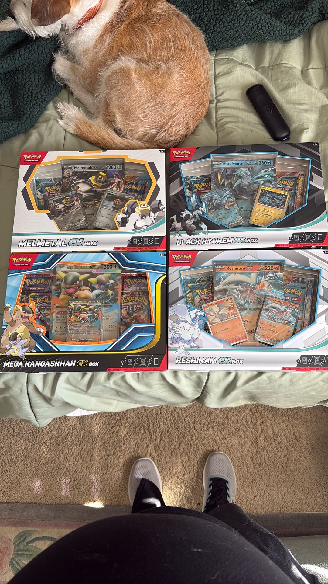 Pokemon Cards - EX Collection Boxes