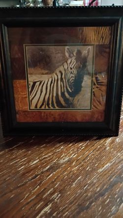 Framed Zebra Wall Art Print