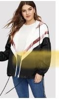 Wind Breaker