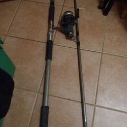 Daiwa Regal Silver 12 Foot Pole Abu Garcia 357 Reel.