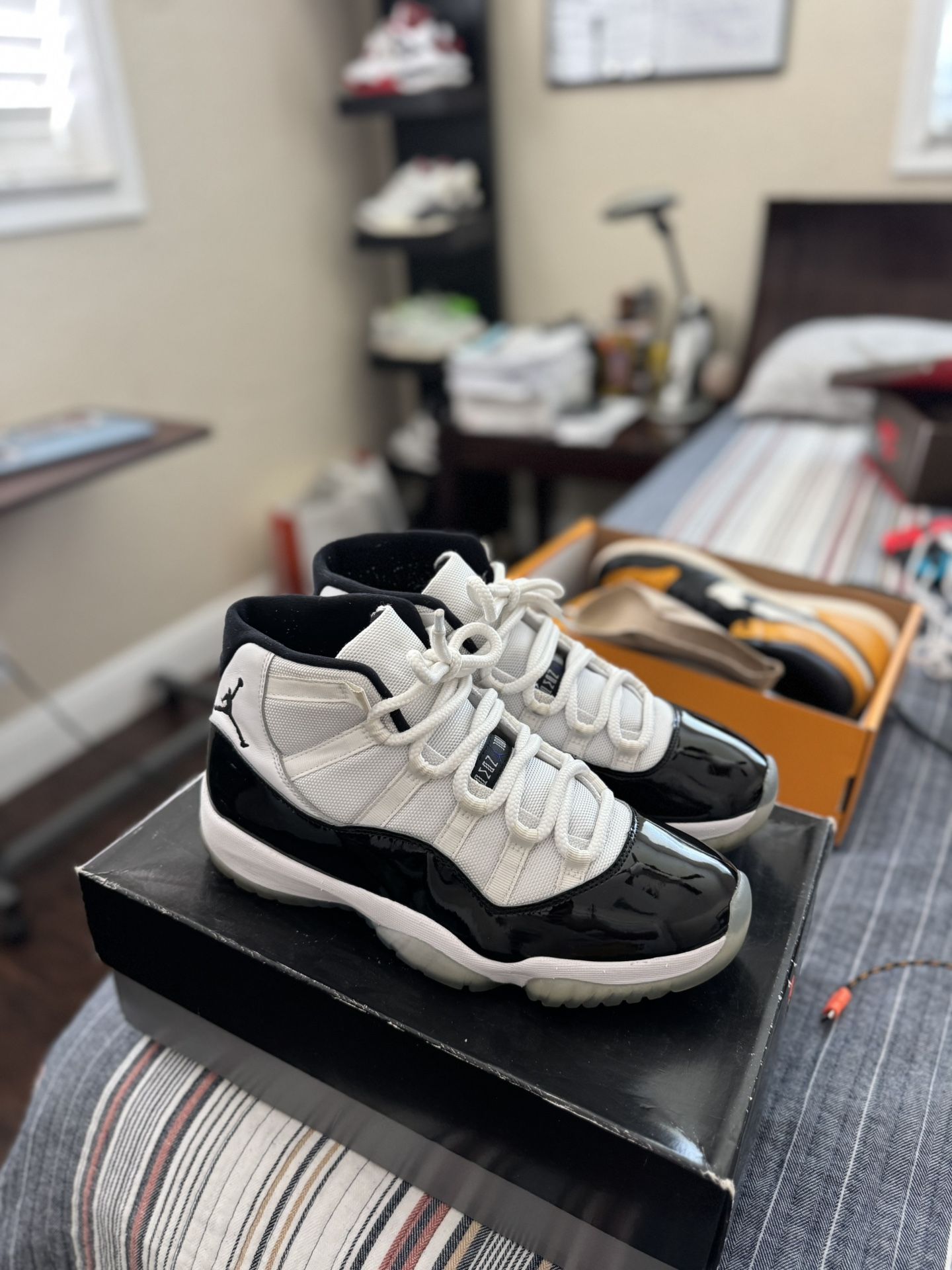 Concord 11 Jordan 11