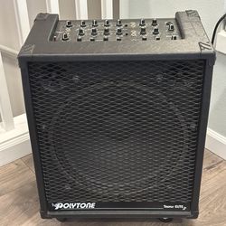 Polytone Taurus Elite Amplifier