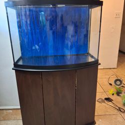 Fish Tank