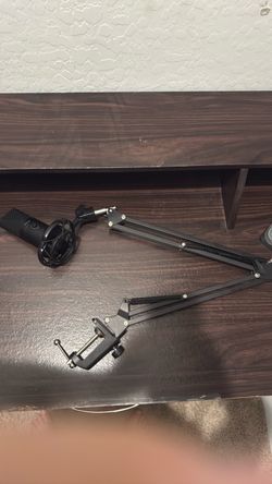 Streamer microphone