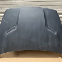 Brand New 2002 - 2008 Dodge Ram Duraflex MP-R Hood - Part # 107715 (Special Order)