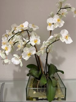 Large White Faux Orchid Arrangement in Glass Vase