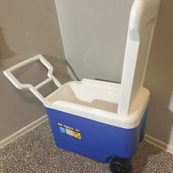 Portable Fridge/Cooler 