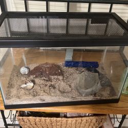 Terrarium and Heater With Hermit Crab Supplies